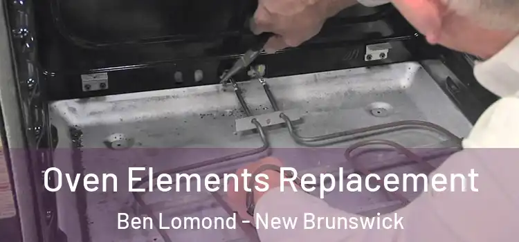 Oven Elements Replacement Ben Lomond - New Brunswick