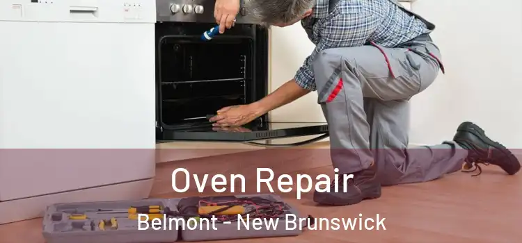 Oven Repair Belmont - New Brunswick