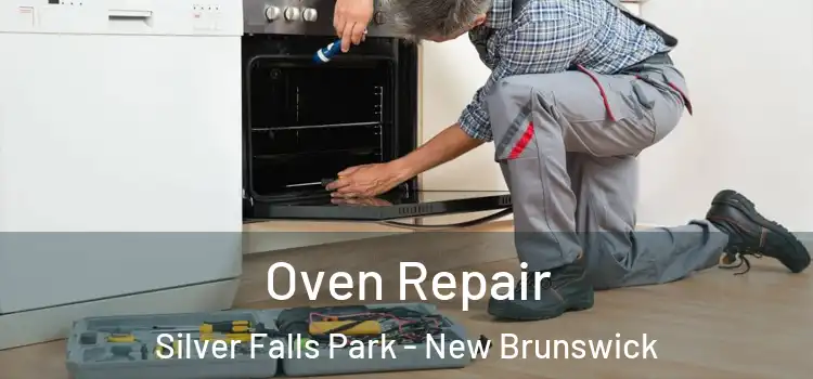 Oven Repair Silver Falls Park - New Brunswick