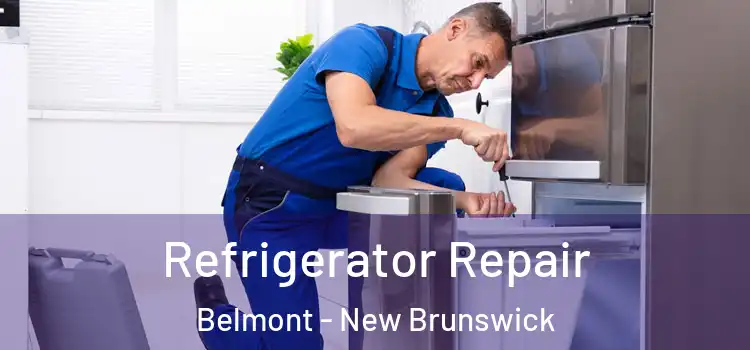 Refrigerator Repair Belmont - New Brunswick