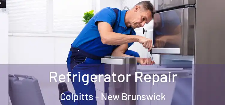 Refrigerator Repair Colpitts - New Brunswick