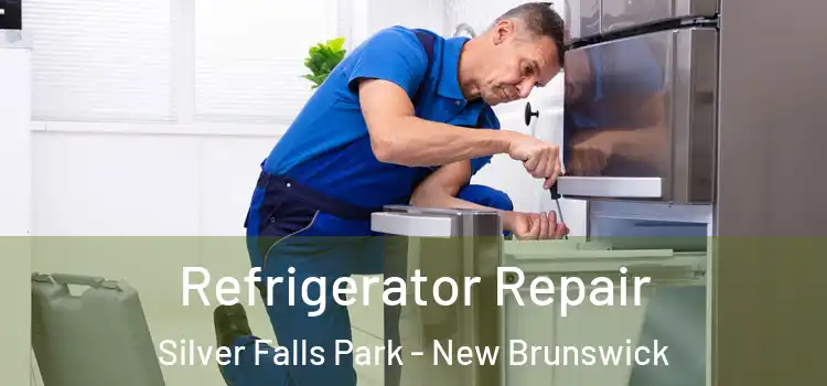 Refrigerator Repair Silver Falls Park - New Brunswick