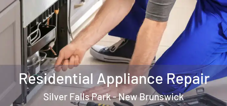 Residential Appliance Repair Silver Falls Park - New Brunswick