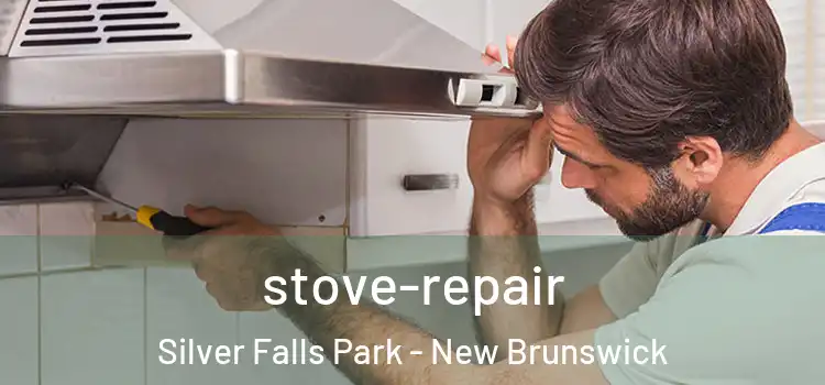 stove-repair Silver Falls Park - New Brunswick